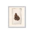 Picture of Nature's Holiday Charm I _GroupedProduct_Rectangle_Portrait_Framed_Matted_