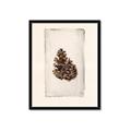 Picture of Nature's Holiday Charm I _GroupedProduct_Rectangle_Portrait_Framed_Matted_