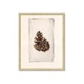 Picture of Nature's Holiday Charm I _GroupedProduct_Rectangle_Portrait_Framed_Matted_