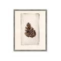 Picture of Nature's Holiday Charm I _GroupedProduct_Rectangle_Portrait_Framed_Matted_