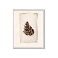 Picture of Nature's Holiday Charm I _GroupedProduct_Rectangle_Portrait_Framed_Matted_