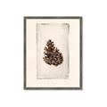 Picture of Nature's Holiday Charm I _GroupedProduct_Rectangle_Portrait_Framed_Matted_