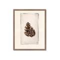 Picture of Nature's Holiday Charm I _GroupedProduct_Rectangle_Portrait_Framed_Matted_