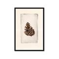 Picture of Nature's Holiday Charm I _GroupedProduct_Rectangle_Portrait_Framed_Matted_