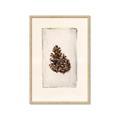 Picture of Nature's Holiday Charm I _GroupedProduct_Rectangle_Portrait_Framed_Matted_