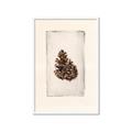 Picture of Nature's Holiday Charm I _GroupedProduct_Rectangle_Portrait_Framed_Matted_