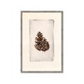 Picture of Nature's Holiday Charm I _GroupedProduct_Rectangle_Portrait_Framed_Matted_