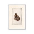 Picture of Nature's Holiday Charm I _GroupedProduct_Rectangle_Portrait_Framed_Matted_