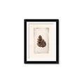 Picture of Nature's Holiday Charm I _GroupedProduct_Rectangle_Portrait_Framed_Matted_