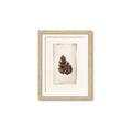 Picture of Nature's Holiday Charm I _GroupedProduct_Rectangle_Portrait_Framed_Matted_