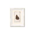 Picture of Nature's Holiday Charm I _GroupedProduct_Rectangle_Portrait_Framed_Matted_