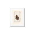 Picture of Nature's Holiday Charm I _GroupedProduct_Rectangle_Portrait_Framed_Matted_