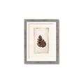 Picture of Nature's Holiday Charm I _GroupedProduct_Rectangle_Portrait_Framed_Matted_