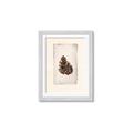 Picture of Nature's Holiday Charm I _GroupedProduct_Rectangle_Portrait_Framed_Matted_
