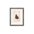 Picture of Nature's Holiday Charm I _GroupedProduct_Rectangle_Portrait_Framed_Matted_