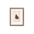 Picture of Nature's Holiday Charm I _GroupedProduct_Rectangle_Portrait_Framed_Matted_
