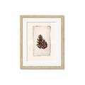 Picture of Nature's Holiday Charm I _GroupedProduct_Rectangle_Portrait_Framed_Matted_