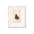 Picture of Nature's Holiday Charm I _GroupedProduct_Rectangle_Portrait_Framed_Matted_