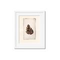 Picture of Nature's Holiday Charm I _GroupedProduct_Rectangle_Portrait_Framed_Matted_