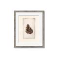 Picture of Nature's Holiday Charm I _GroupedProduct_Rectangle_Portrait_Framed_Matted_