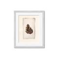 Picture of Nature's Holiday Charm I _GroupedProduct_Rectangle_Portrait_Framed_Matted_