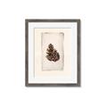 Picture of Nature's Holiday Charm I _GroupedProduct_Rectangle_Portrait_Framed_Matted_
