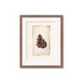 Picture of Nature's Holiday Charm I _GroupedProduct_Rectangle_Portrait_Framed_Matted_
