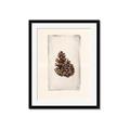 Picture of Nature's Holiday Charm I _GroupedProduct_Rectangle_Portrait_Framed_Matted_