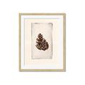 Picture of Nature's Holiday Charm I _GroupedProduct_Rectangle_Portrait_Framed_Matted_