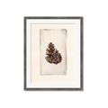 Picture of Nature's Holiday Charm I _GroupedProduct_Rectangle_Portrait_Framed_Matted_