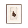 Picture of Nature's Holiday Charm I _GroupedProduct_Rectangle_Portrait_Framed_Matted_