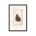 Picture of Nature's Holiday Charm I _GroupedProduct_Rectangle_Portrait_Framed_Matted_
