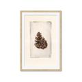 Picture of Nature's Holiday Charm I _GroupedProduct_Rectangle_Portrait_Framed_Matted_