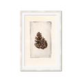 Picture of Nature's Holiday Charm I _GroupedProduct_Rectangle_Portrait_Framed_Matted_