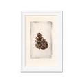 Picture of Nature's Holiday Charm I _GroupedProduct_Rectangle_Portrait_Framed_Matted_