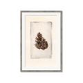 Picture of Nature's Holiday Charm I _GroupedProduct_Rectangle_Portrait_Framed_Matted_