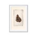 Picture of Nature's Holiday Charm I _GroupedProduct_Rectangle_Portrait_Framed_Matted_