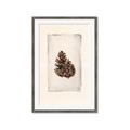 Picture of Nature's Holiday Charm I _GroupedProduct_Rectangle_Portrait_Framed_Matted_