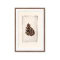 Picture of Nature's Holiday Charm I _GroupedProduct_Rectangle_Portrait_Framed_Matted_