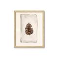 Picture of Nature's Holiday Charm II _GroupedProduct_Rectangle_Portrait_Framed_Matted_