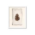 Picture of Nature's Holiday Charm II _GroupedProduct_Rectangle_Portrait_Framed_Matted_