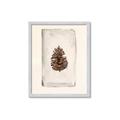Picture of Nature's Holiday Charm II _GroupedProduct_Rectangle_Portrait_Framed_Matted_
