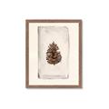Picture of Nature's Holiday Charm II _GroupedProduct_Rectangle_Portrait_Framed_Matted_