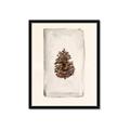Picture of Nature's Holiday Charm II _GroupedProduct_Rectangle_Portrait_Framed_Matted_
