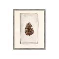 Picture of Nature's Holiday Charm II _GroupedProduct_Rectangle_Portrait_Framed_Matted_