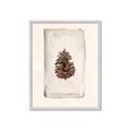 Picture of Nature's Holiday Charm II _GroupedProduct_Rectangle_Portrait_Framed_Matted_