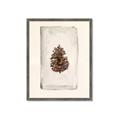 Picture of Nature's Holiday Charm II _GroupedProduct_Rectangle_Portrait_Framed_Matted_