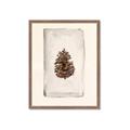 Picture of Nature's Holiday Charm II _GroupedProduct_Rectangle_Portrait_Framed_Matted_