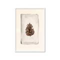 Picture of Nature's Holiday Charm II _GroupedProduct_Rectangle_Portrait_Framed_Matted_