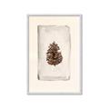 Picture of Nature's Holiday Charm II _GroupedProduct_Rectangle_Portrait_Framed_Matted_